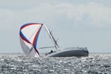 the black prince gbr2187l ss19 fri gjmc1950w